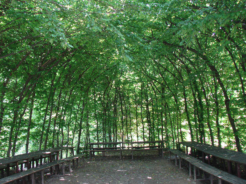 gazebo di Carpino bianco di Cà Soldato